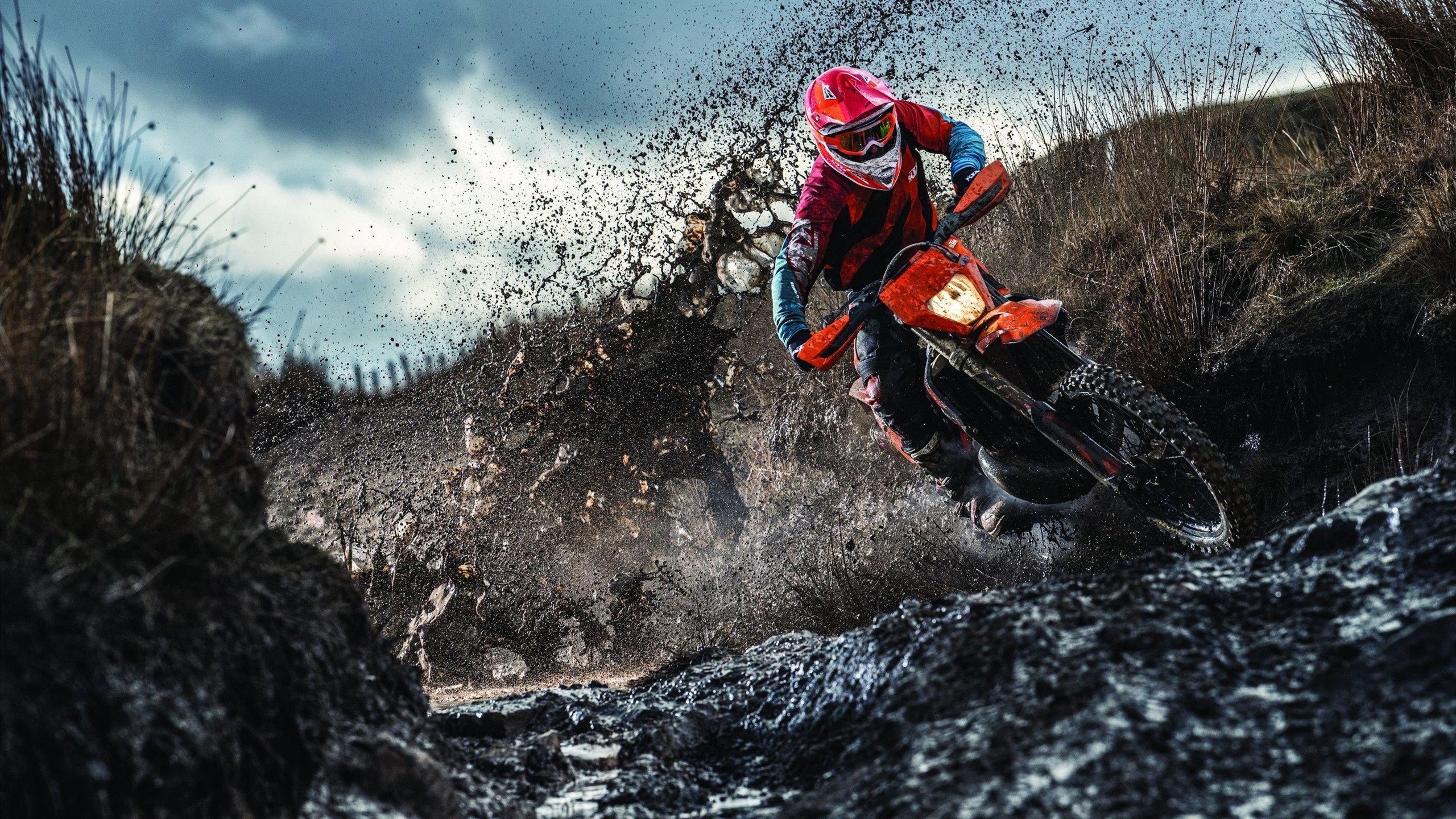 联合杯铸就钢铁意志，兹维列夫法网翻盘展露王者气象